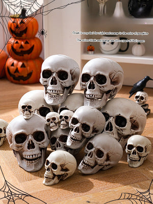 Skull model collection in white with black eye sockets and nose details, featuring various sizes for Halloween decoration.